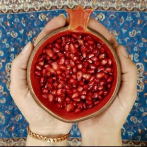 Yalda Night Collection