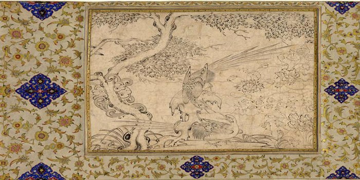 Tashir Paint