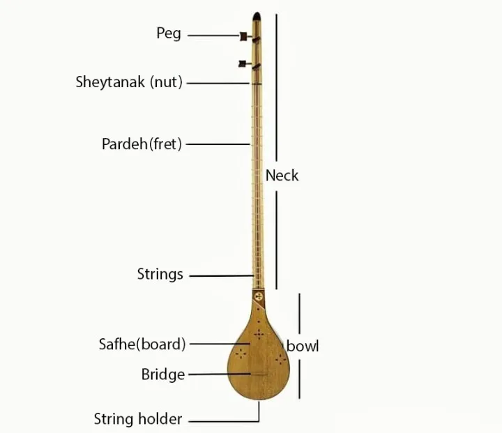 Main components of the Setar instrument including body, neck, and four strings